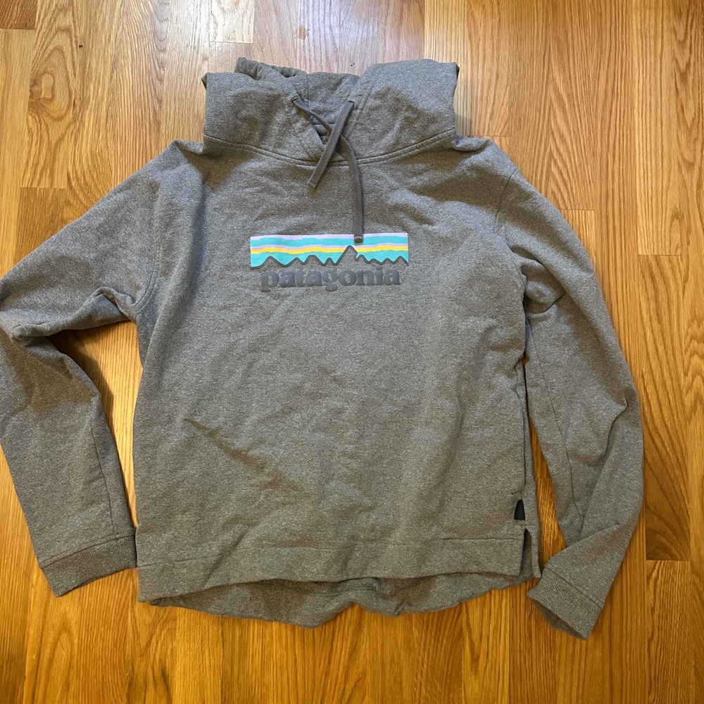 Patagonia Gray Hoodie with Logo